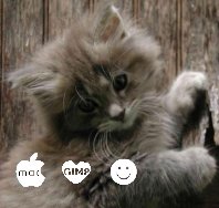 catmap01.jpg